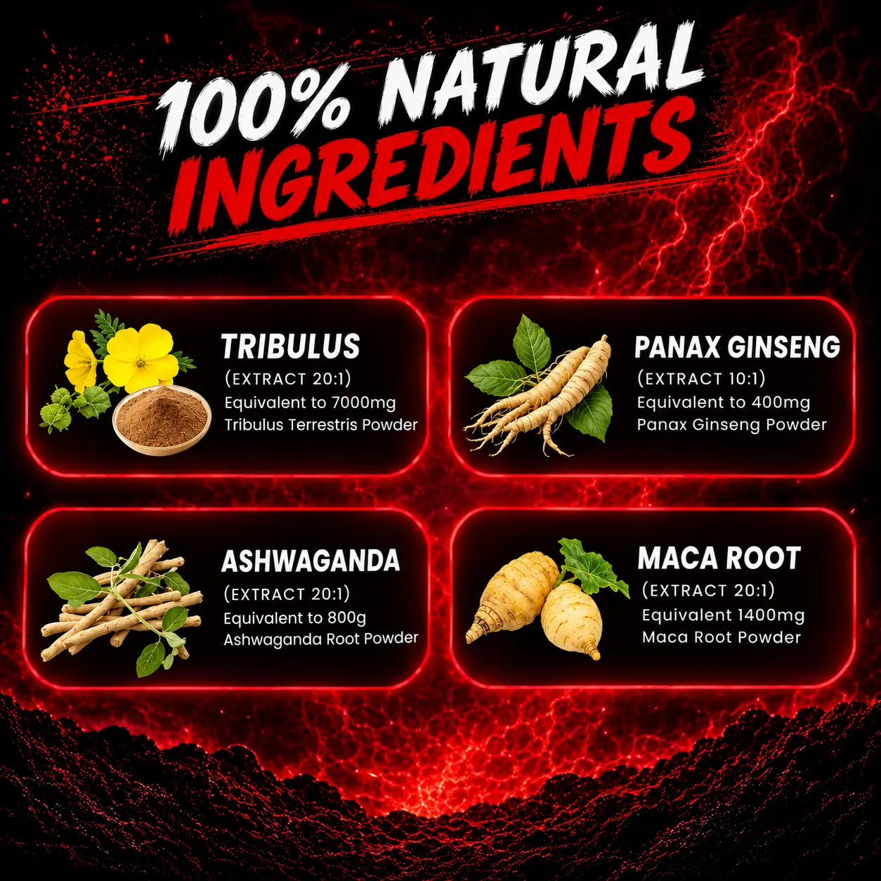 TRIBULLUS™ Tribulus + Maca Extract Capsules Peashe